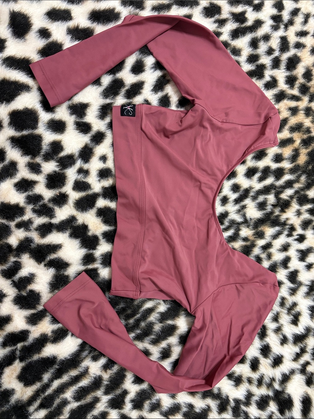 Kids/teens Dance Crop Top - Mauve Long Sleeve